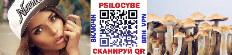 Купить закладки  Гвардейск  Псилоцибиновые грибы GOLDEN TEACHER 