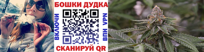Конопля OG Kush  Купить где  Гвардейск 